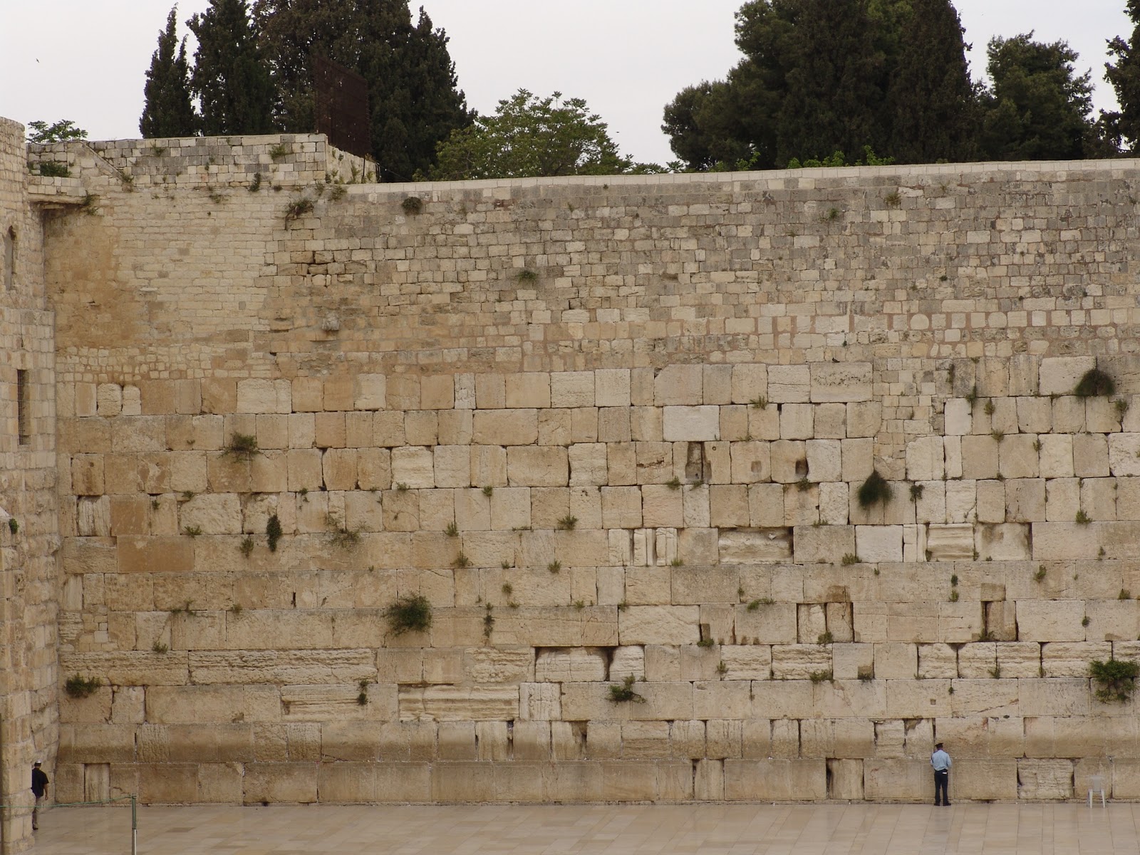 אלעד, ירושלים של זהב by mofet - Illustrated by אלעד - Ourboox.com