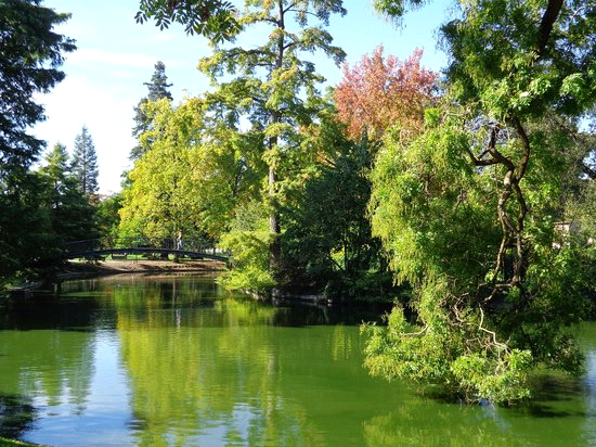 עבודה בצרפתית by Yuval Lugassi - Ourboox.com