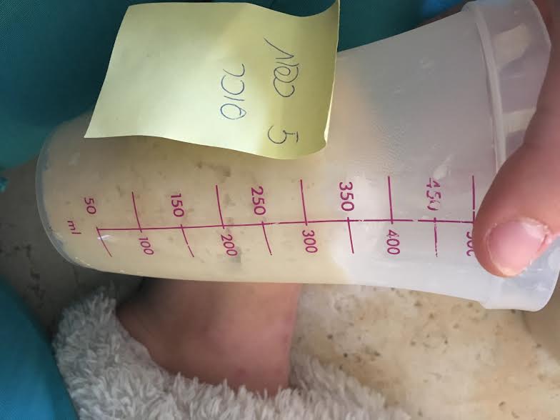 עבודת חקר במדעים – שמרים by hadarbarlev - Ourboox.com