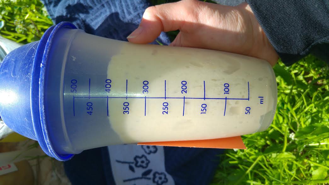 עבודת חקר במדעים – שמרים by hadarbarlev - Ourboox.com