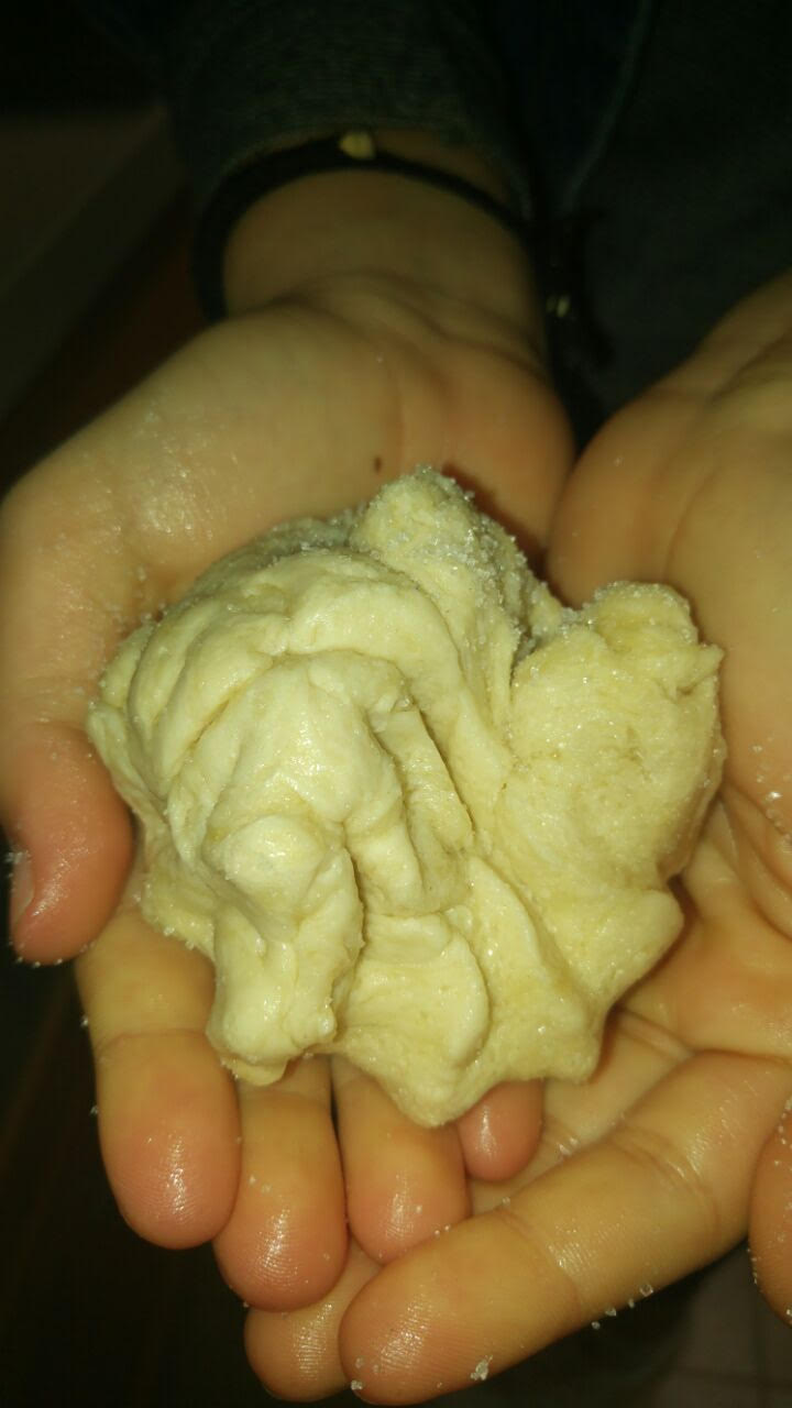 עבודת חקר במדעים – שמרים by hadarbarlev - Ourboox.com