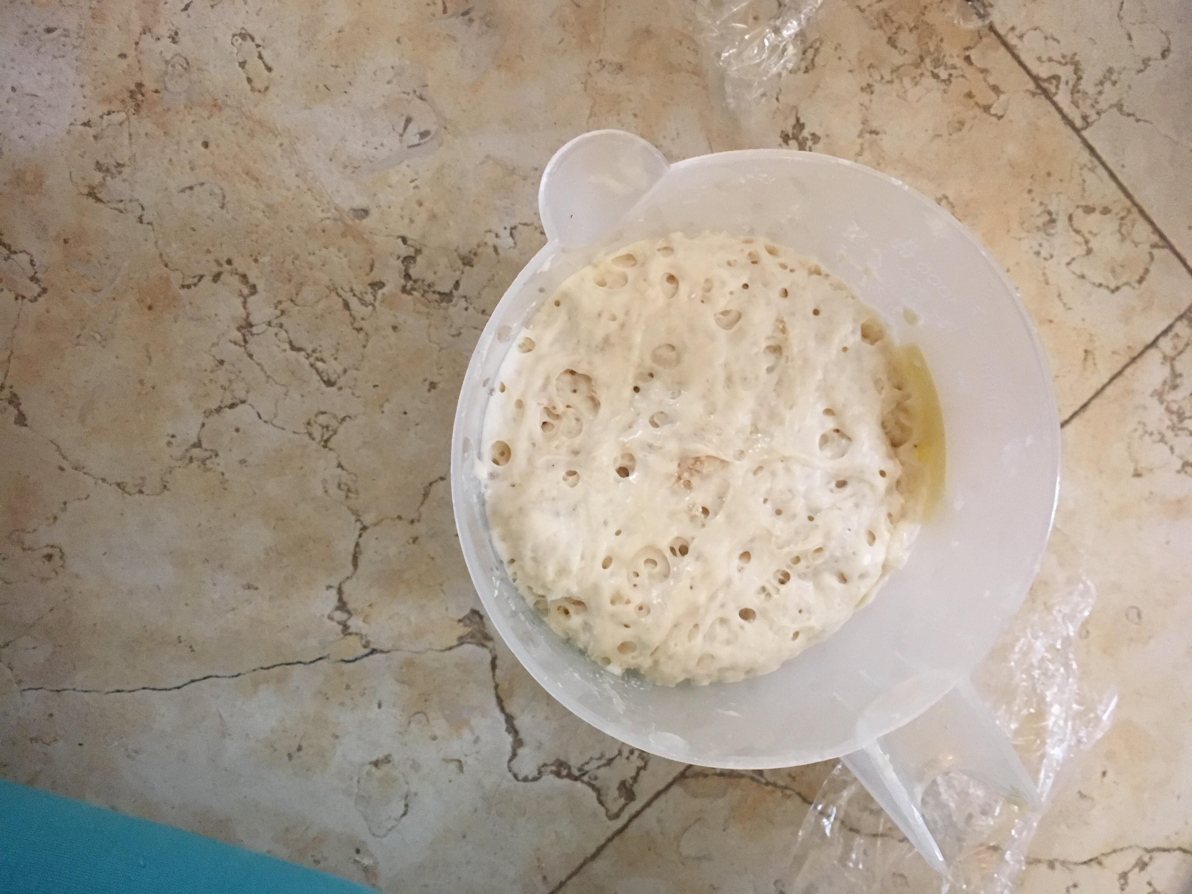 עבודת חקר במדעים – שמרים by hadarbarlev - Ourboox.com