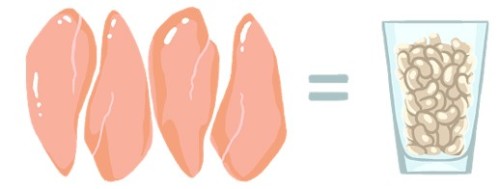 עבודת חקר – והנבטת קטניות by Amit Haberfeld - Ourboox.com