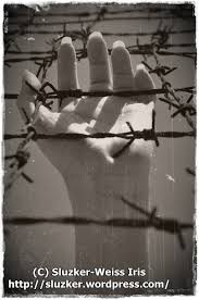 החיים מבעד עיניים כואבות by talia ben mordechai - Ourboox.com