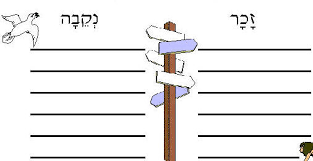 זבר נקבה by mona - Ourboox.com