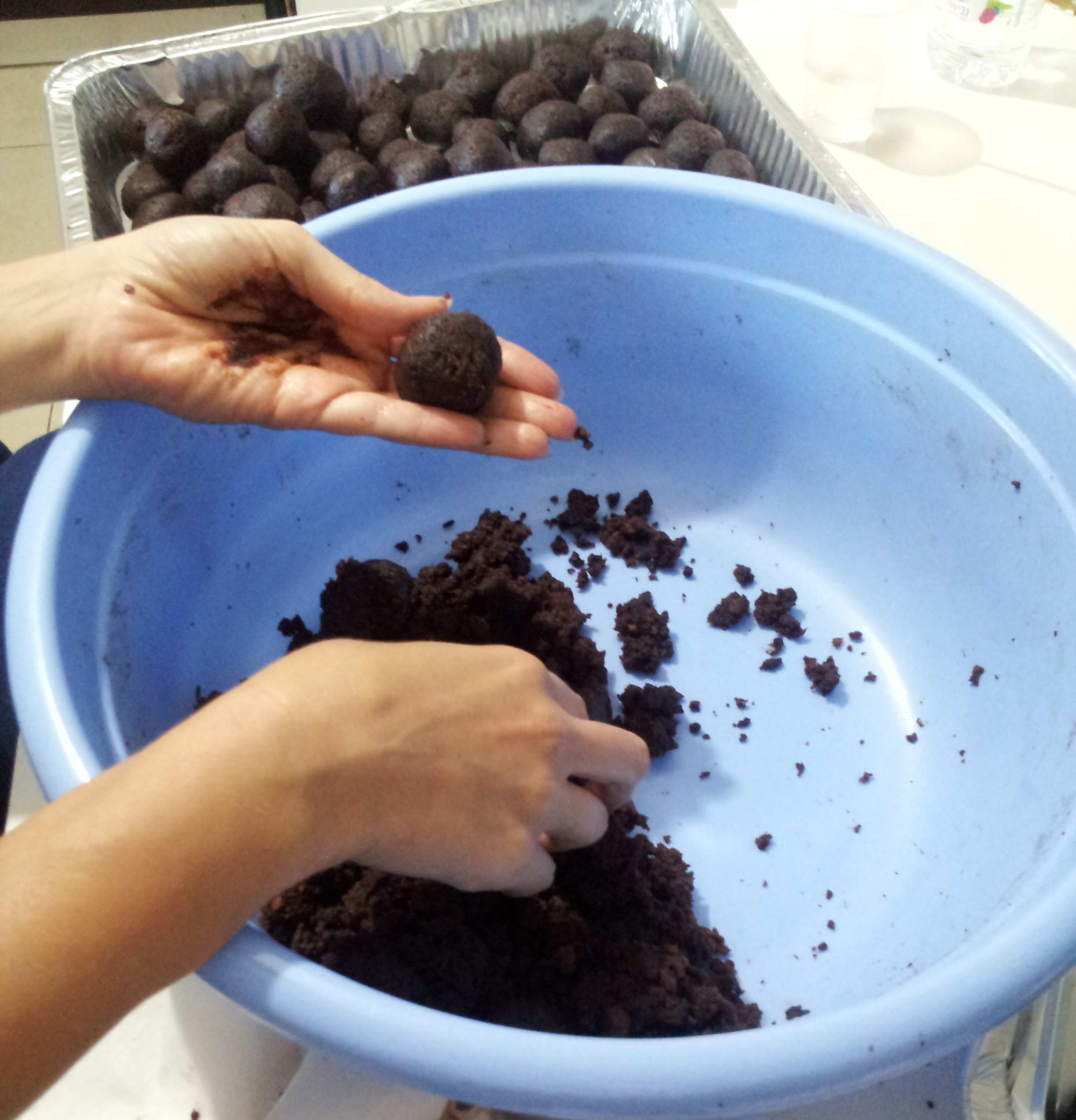 Our Israeli Cookbook – ז’2 by Shiri - Ourboox.com