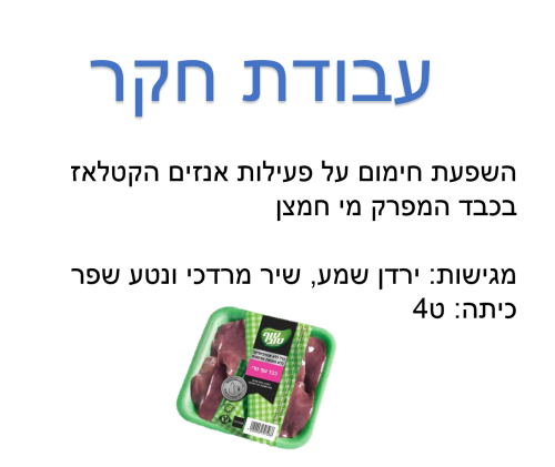 עבודת חקר by shir - Illustrated by שיר מרדכי, ירדן שמע ונטע שפר ט4 - Ourboox.com