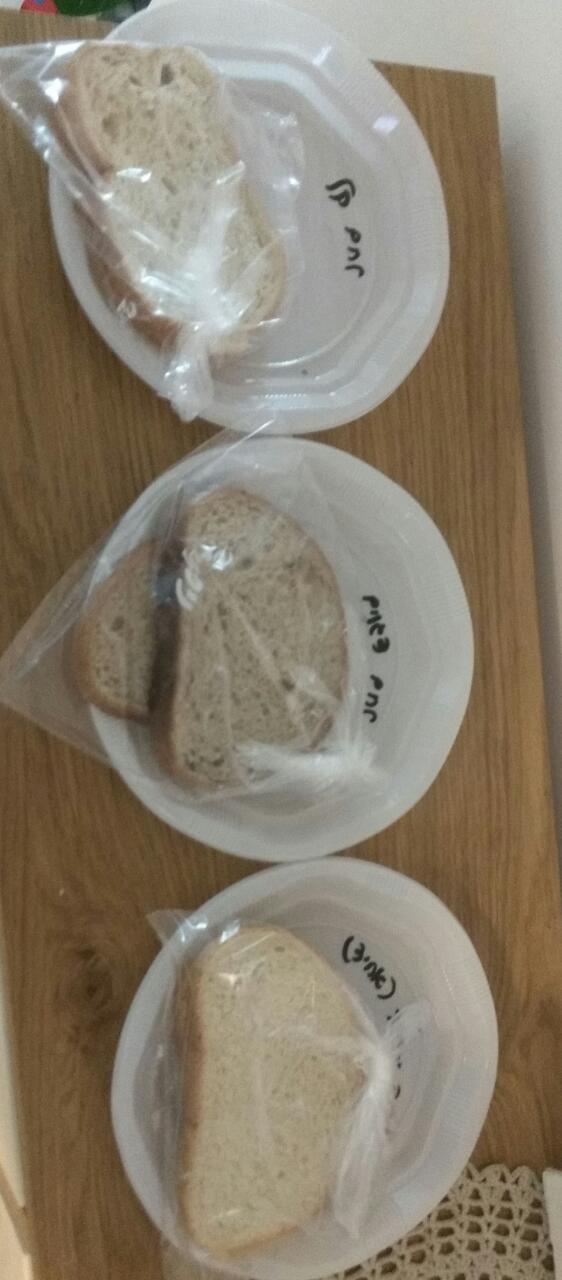 סופו של כל לחם. by sapir schechter - Ourboox.com