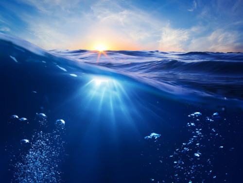 ליוויתנים by Tal Motola - Ourboox.com