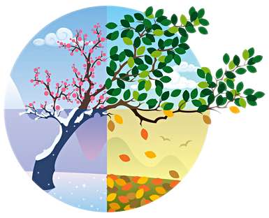 עונות השנה by tzlil madmoni - Ourboox.com