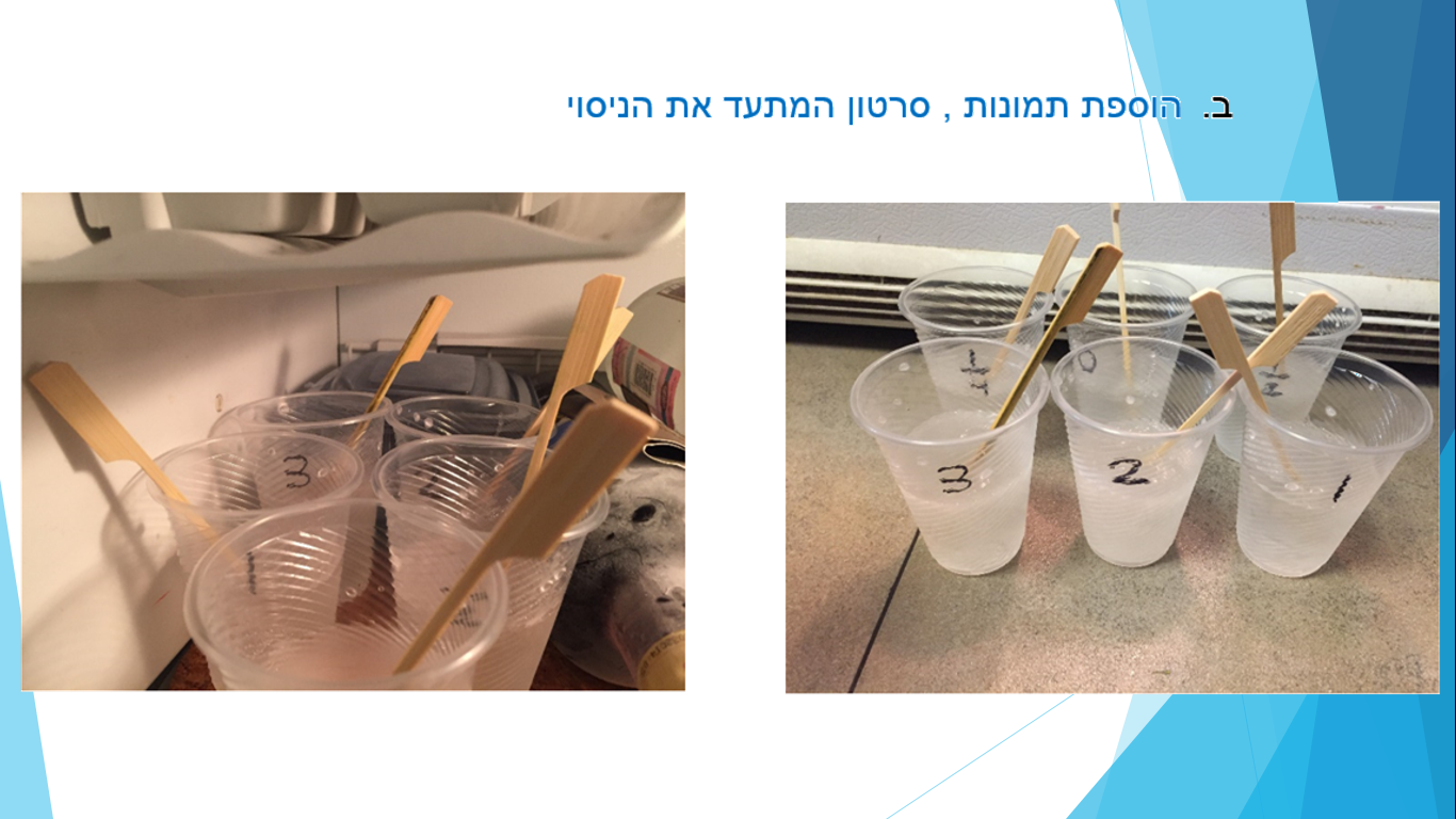 עבודת חקר במדעים – מעודכן by reut shnitzer - Ourboox.com