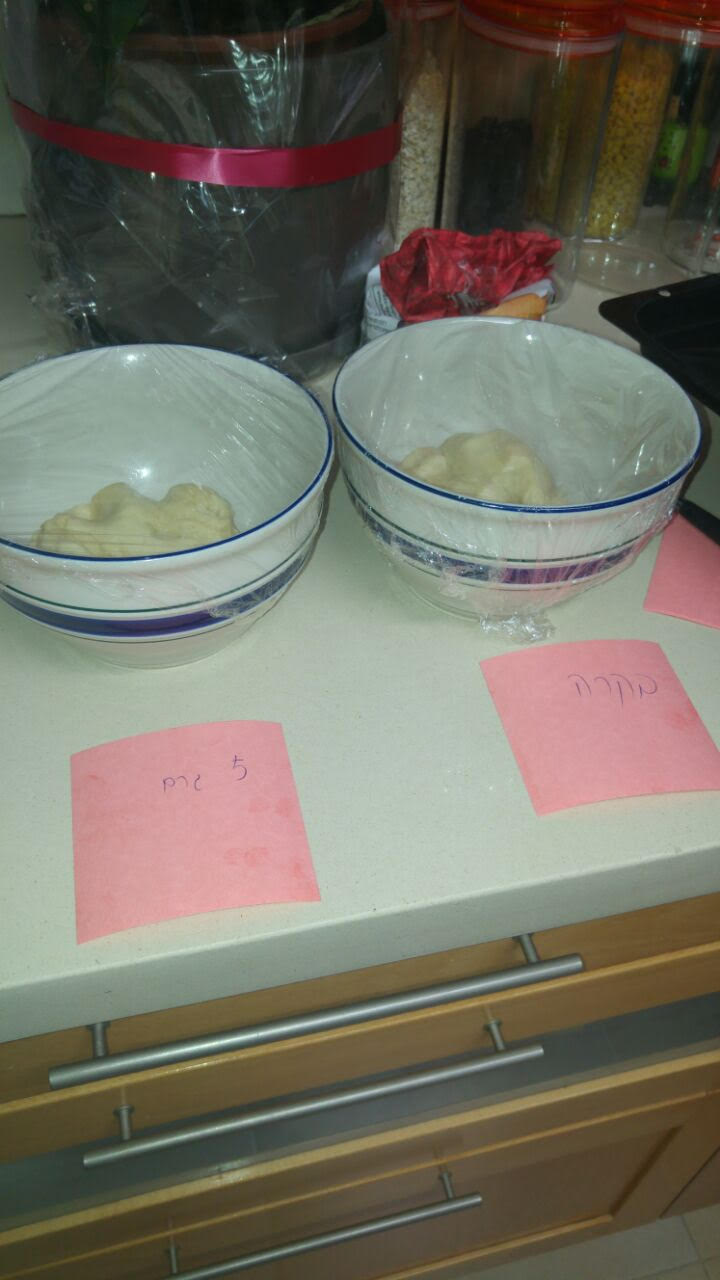 עבודת חקר במדעים – שמרים by hadarbarlev - Ourboox.com