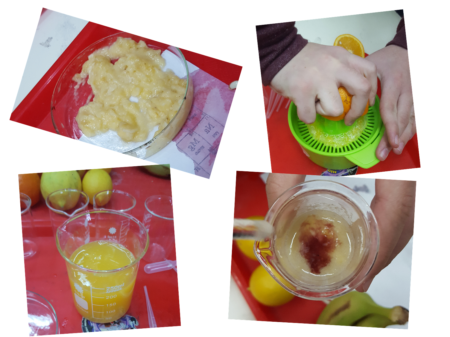 השפעת תערובות של פירות על כמות ויטמין ה-C by Roey Hayoon - Ourboox.com