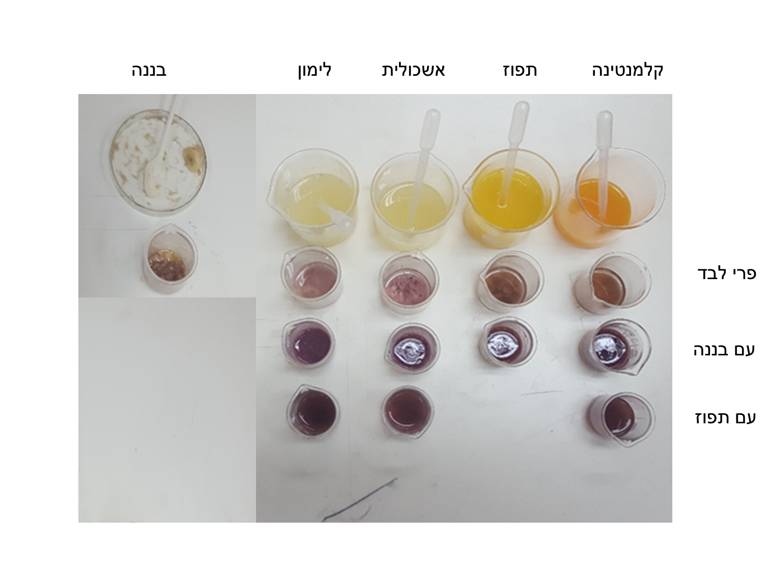 השפעת תערובות של פירות על כמות ויטמין ה-C by Roey Hayoon - Ourboox.com