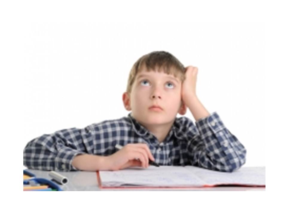 ממר יצא מתוק לקוח מפעילות לט”ו בשבט אתר למדע by batya katz - Ourboox.com