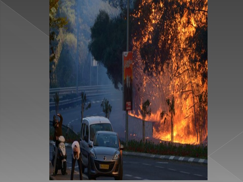 גיליון מספר 3 by young writers - Ourboox.com