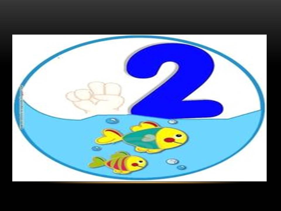 مقدمة عن الأرقام 10-1 by aseelyasen - Ourboox.com