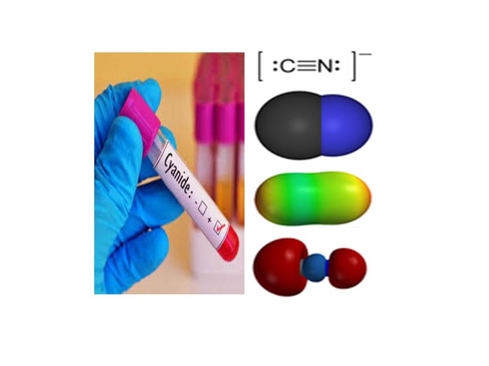 ממר יצא מתוק לקוח מפעילות לט”ו בשבט אתר למדע by batya katz - Ourboox.com