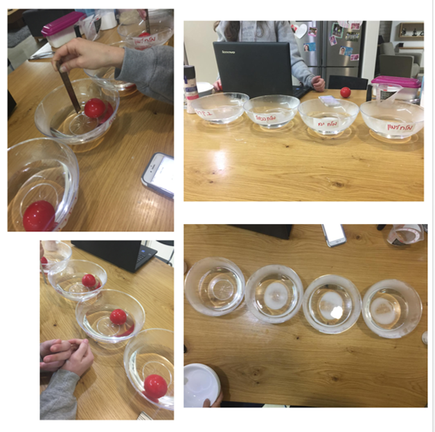 עבודת חקר במדעים by gefen hart - Illustrated by יעלה בר לב, שירה מליק וגפן הרט - Ourboox.com