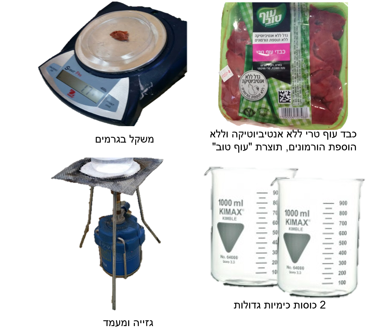 עבודת חקר by shir - Illustrated by שיר מרדכי, ירדן שמע ונטע שפר ט4 - Ourboox.com