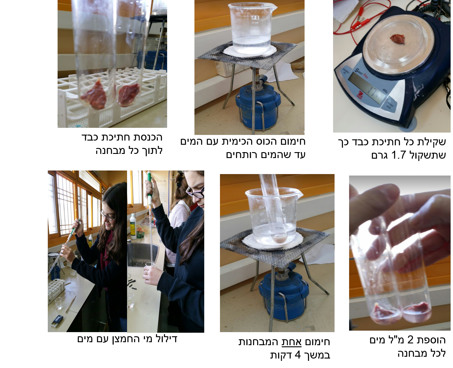 עבודת חקר by shir - Illustrated by שיר מרדכי, ירדן שמע ונטע שפר ט4 - Ourboox.com