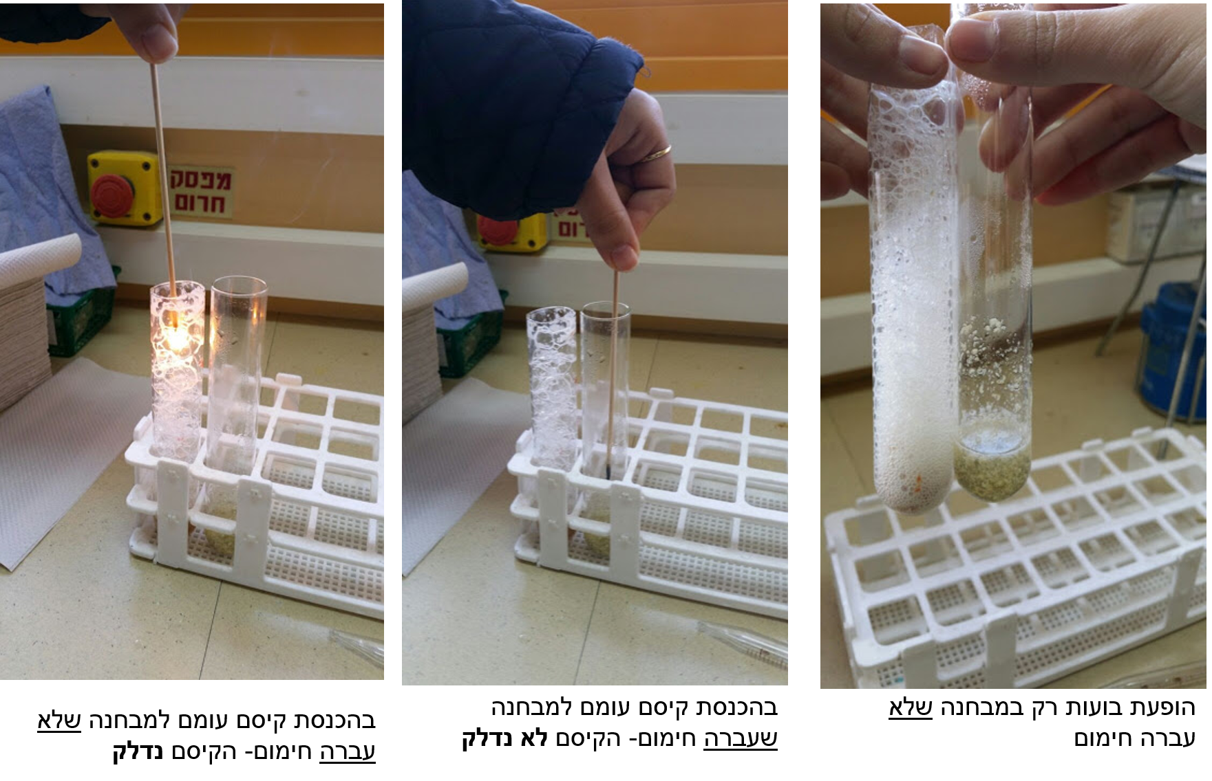 עבודת חקר by shir - Illustrated by שיר מרדכי, ירדן שמע ונטע שפר ט4 - Ourboox.com