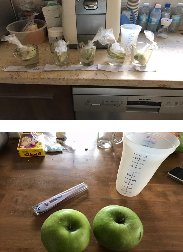 עבודת חקר by inbarshelhav - Ourboox.com