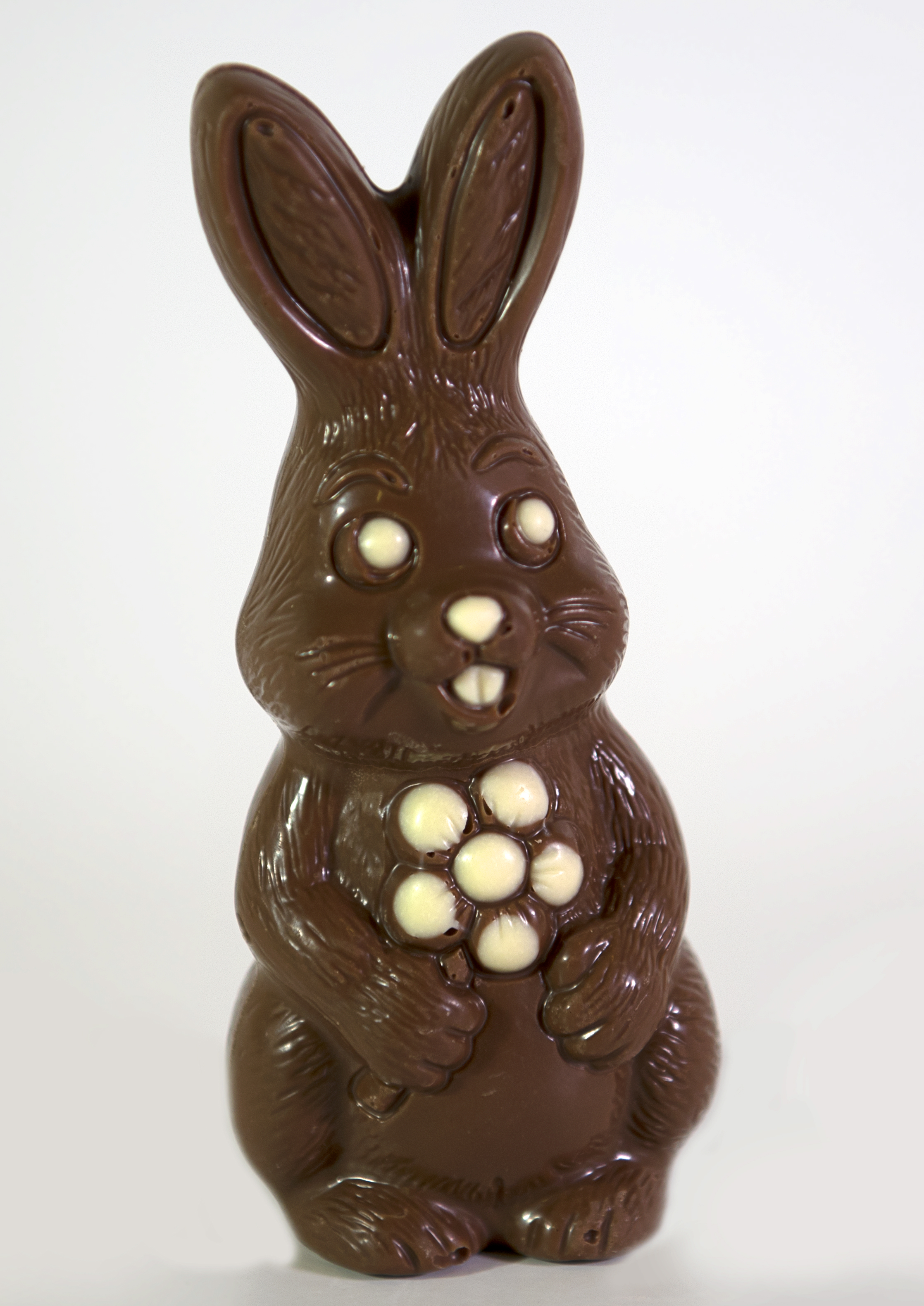 MY SPECIAL CHOCOLATE ! by gaya fisher - Illustrated by HEN AND GAYA - Ourboox.com