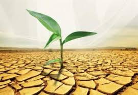 العمل الخيري by ayoosh zanadeh - Ourboox.com