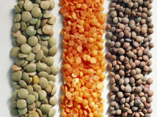 أثر الضوء على نمو بذور العدس by فريق عمل الصف الخامس أ - Illustrated by فريق طلاب الصف الخامس أ  بشار احمد نخال                   صلاح صلاح الدين                   عزمي رياض شاكر                   هادي حاتم ابو صبيح - Ourboox.com