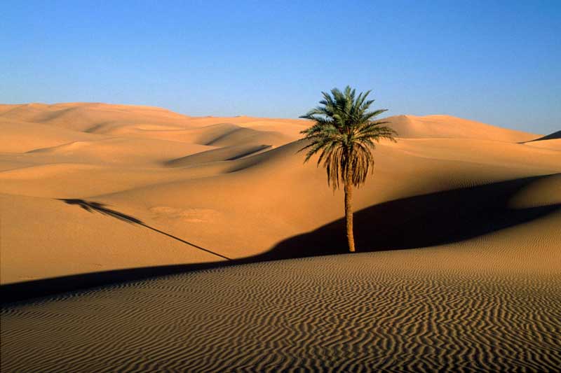 geography7 by Paladymg - Ourboox.com