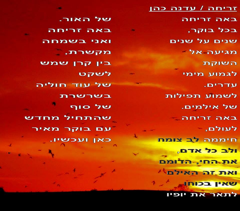 שירים וציורים – שיתופי פעולה של יוצרים / עדנה כהן – שירים ואילן מזרחי ציורים by edna cohen - עדנה כהן - Illustrated by עדנה כהן ואילן מזרחי - Ourboox.com