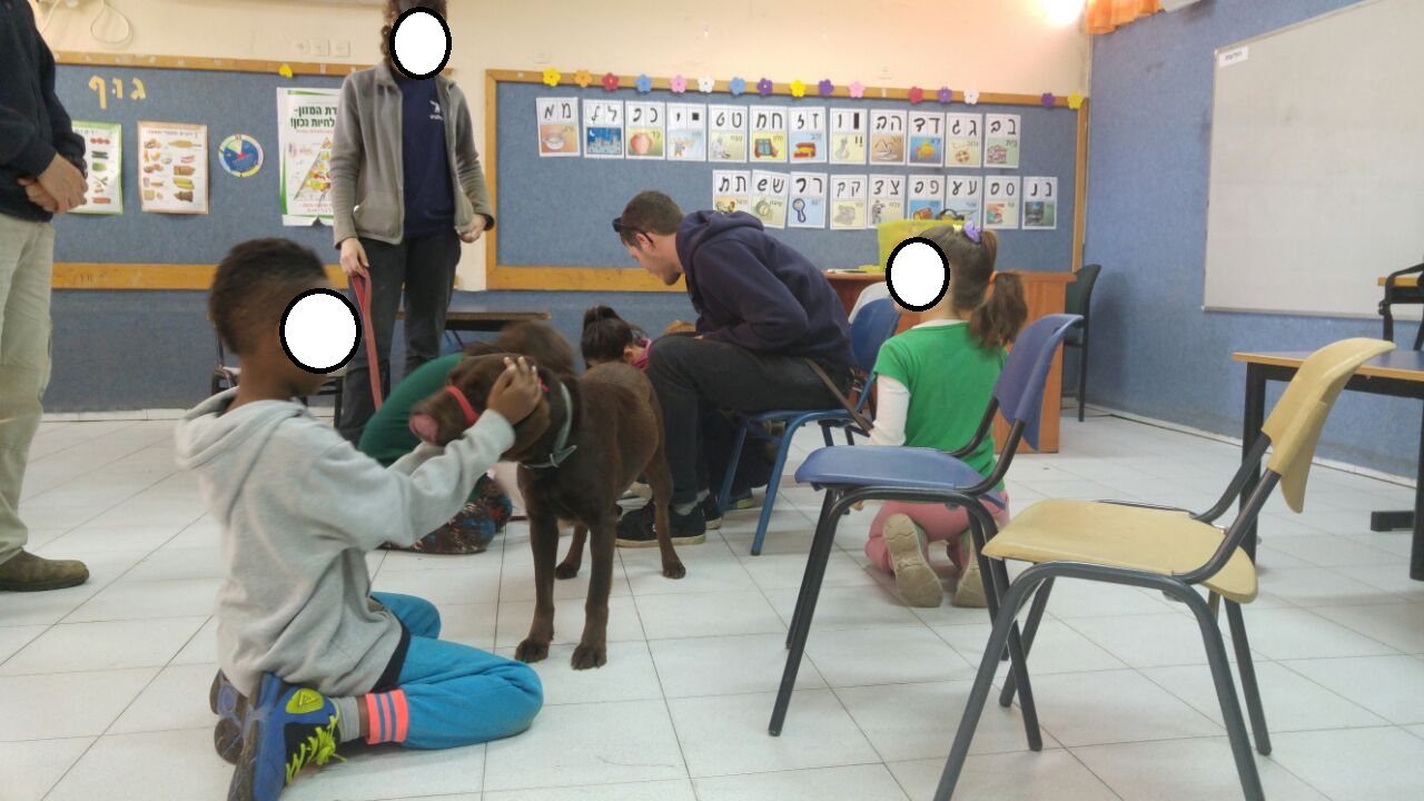 מנ”ע – מניעת נשירה עכשיו 2016 by merav maor - Ourboox.com