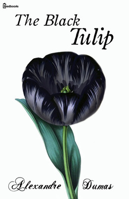 the black tulip by alexandre dumas - Illustrated by aseel mosa - Ourboox.com