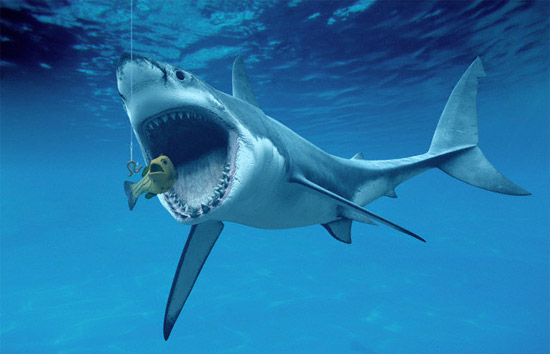 SHARKS by berentetik - Ourboox.com