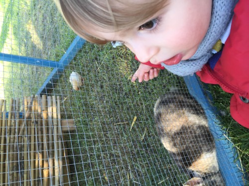 The little Tchoupi by Sagot-Oliveras - Ourboox.com