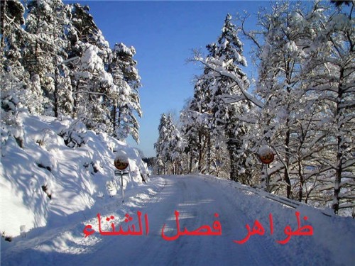 ظواهر فصل الشتاء