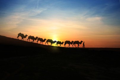 מסעי הצלב by mia hurgin - Illustrated by מיה חורגין - Ourboox.com