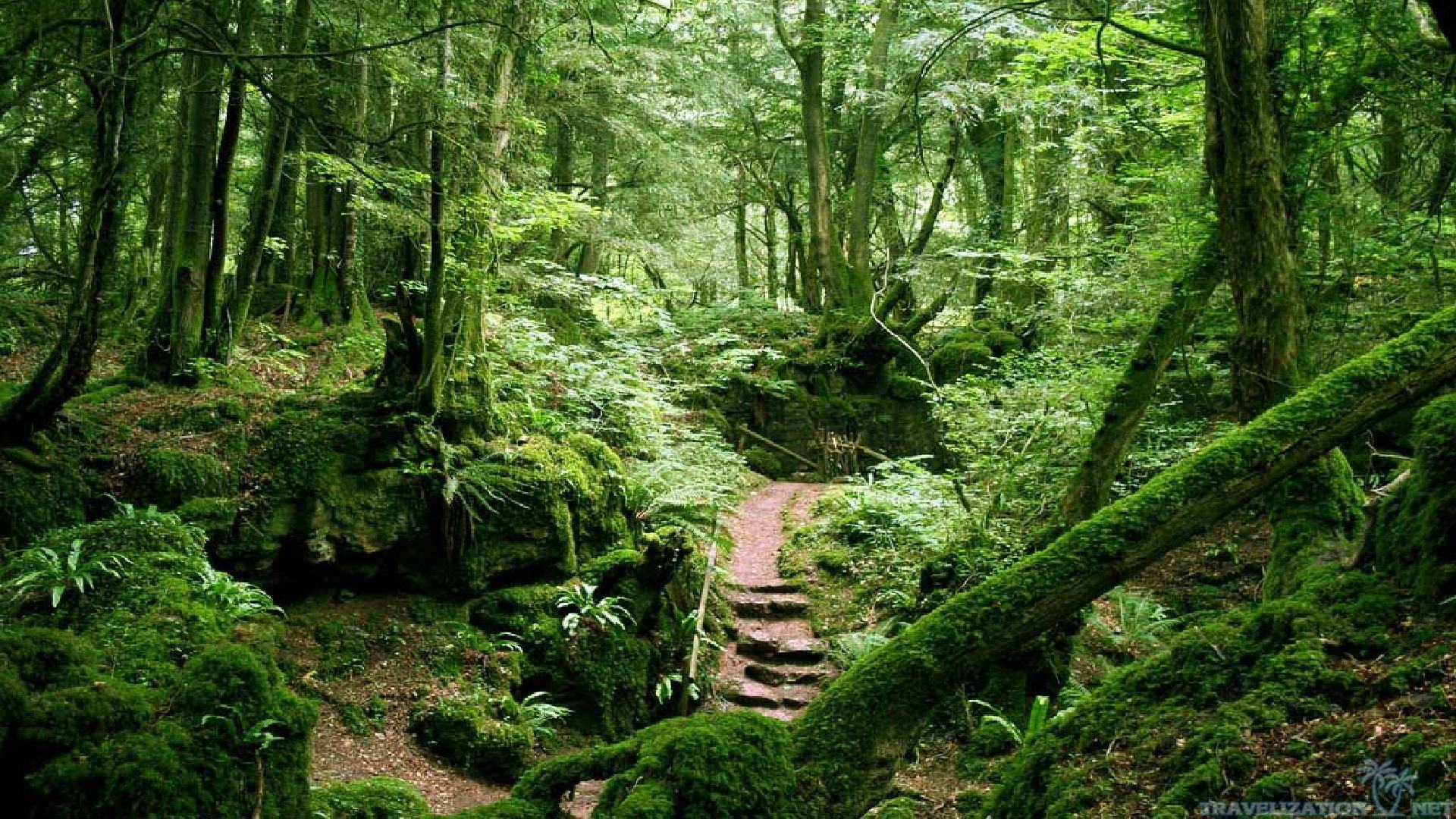 THE CIRCUS by Esther - Ourboox.com