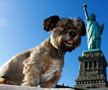 ELS CONTES DE QUART A by Material per al treball a l