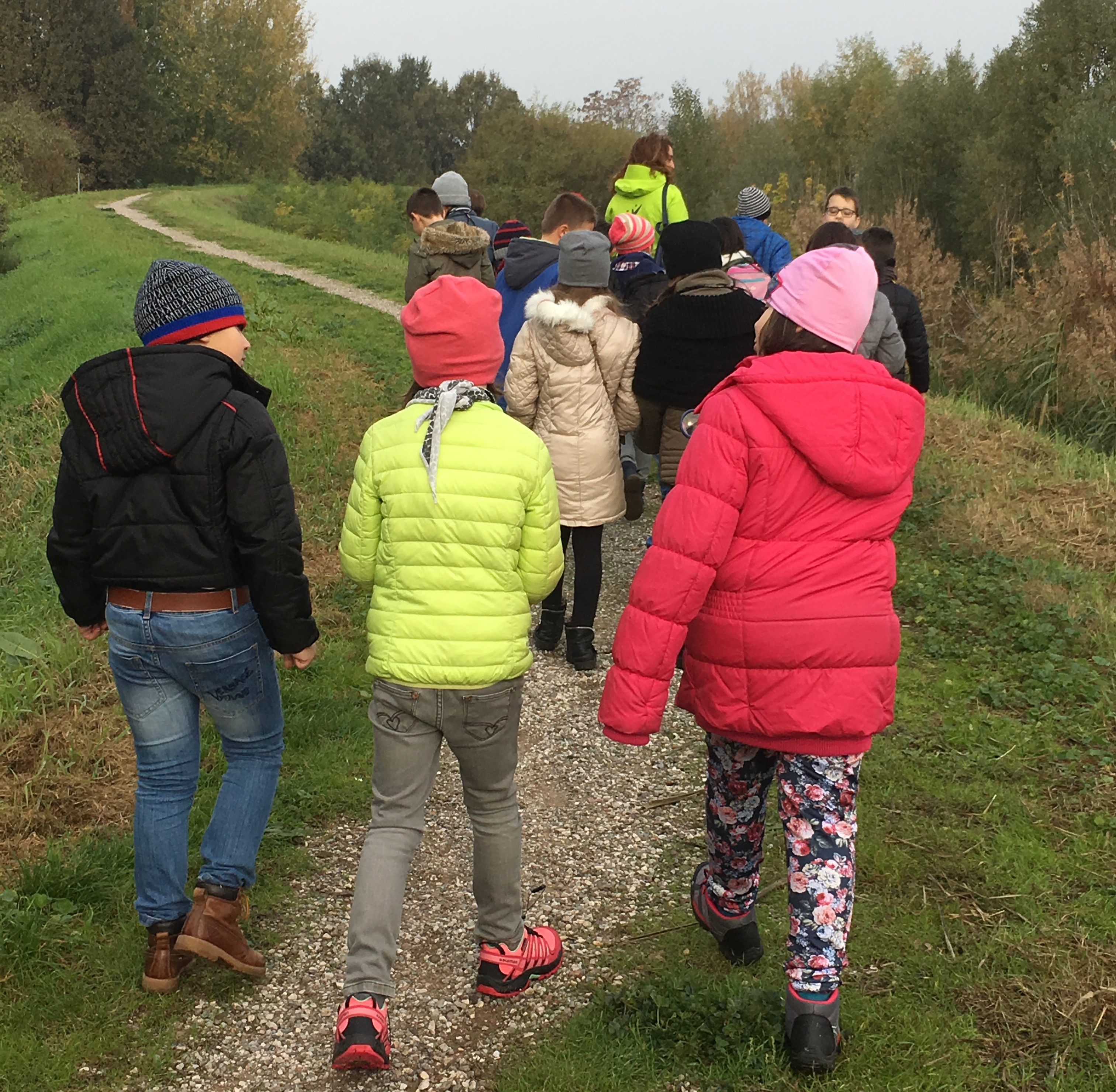 THE SOIL AND THE WATER: a scientific activity in 3^ class by mostardini francesca - Illustrated by Francesca Mostradini - Ourboox.com