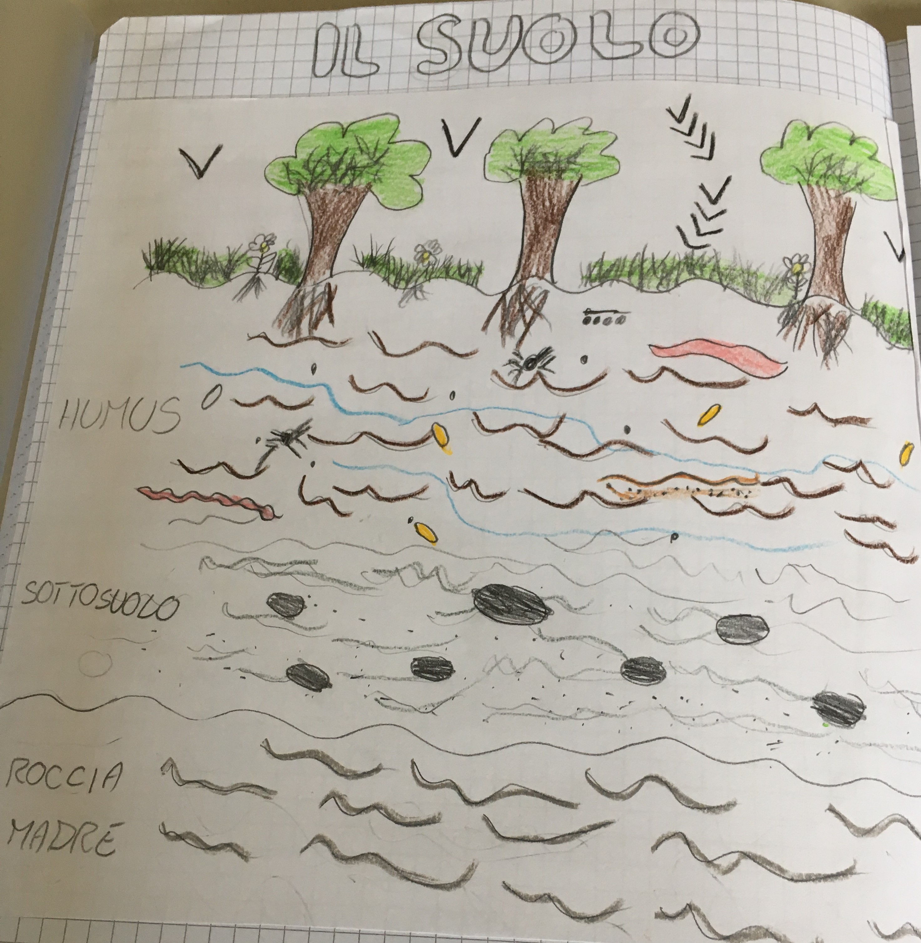 THE SOIL AND THE WATER: a scientific activity in 3^ class by mostardini francesca - Illustrated by Francesca Mostradini - Ourboox.com