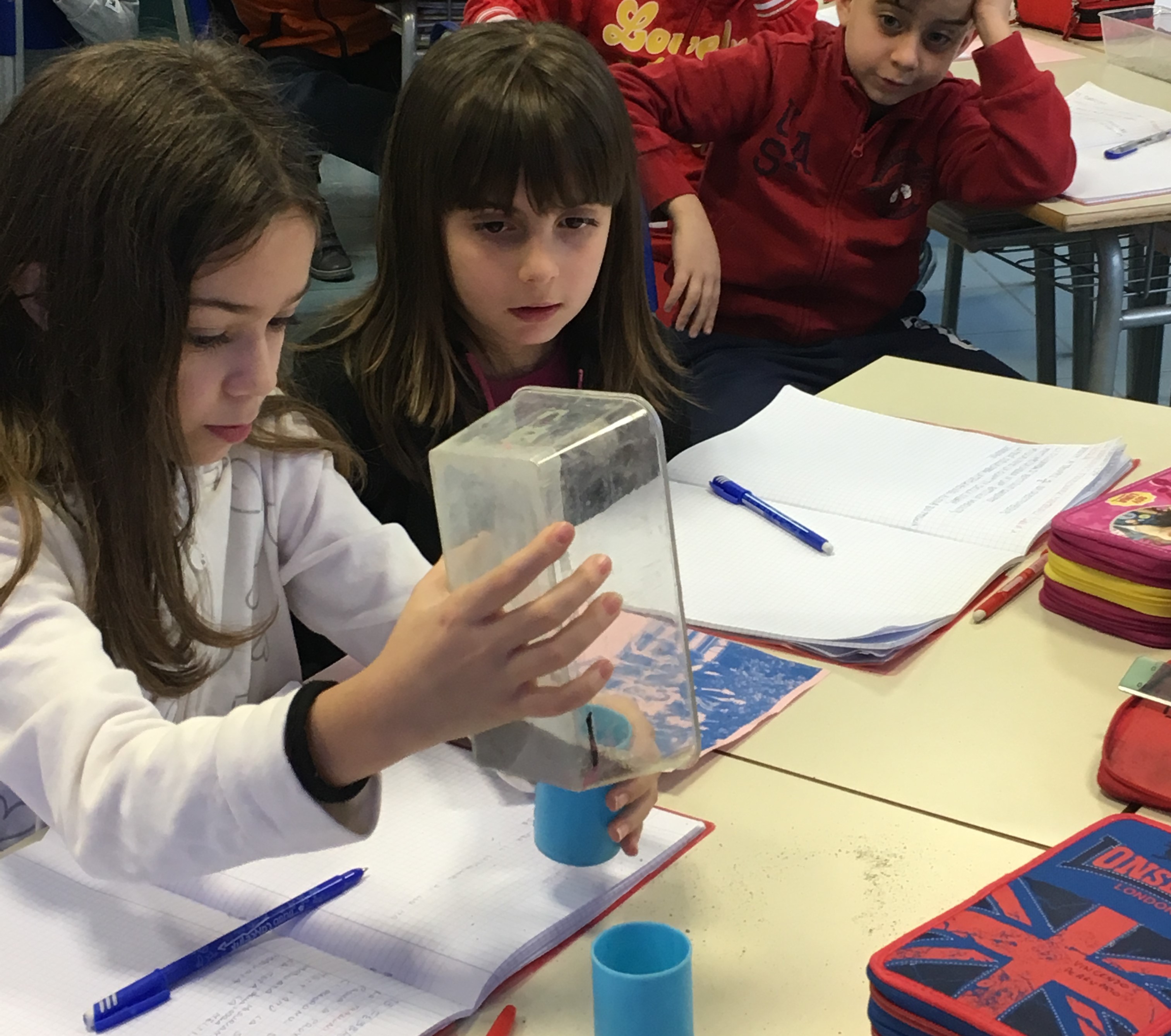 THE SOIL AND THE WATER: a scientific activity in 3^ class by mostardini francesca - Illustrated by Francesca Mostradini - Ourboox.com