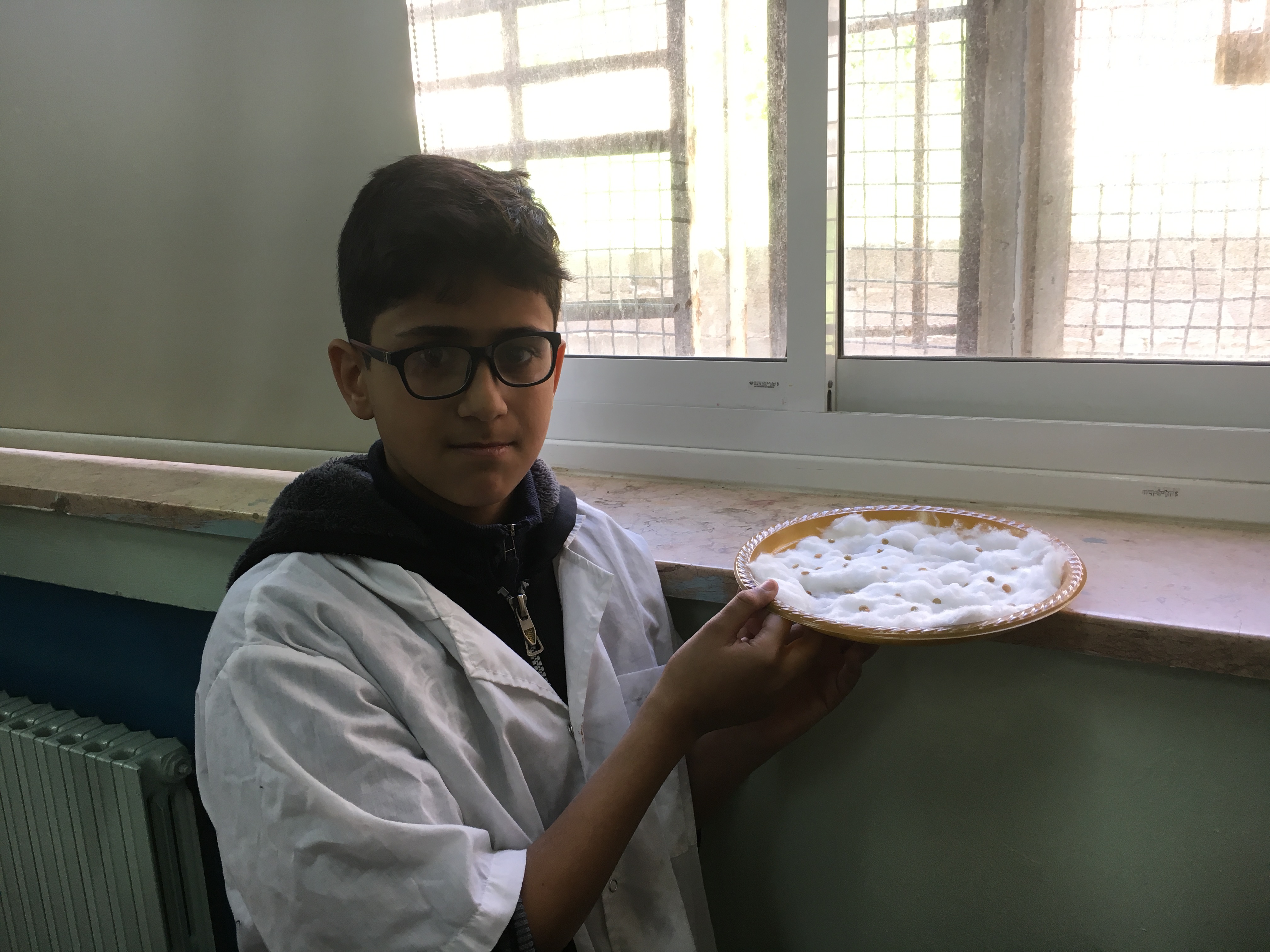 أثر الضوء على نمو بذور العدس by فريق عمل الصف الخامس أ - Illustrated by فريق طلاب الصف الخامس أ  بشار احمد نخال                   صلاح صلاح الدين                   عزمي رياض شاكر                   هادي حاتم ابو صبيح - Ourboox.com