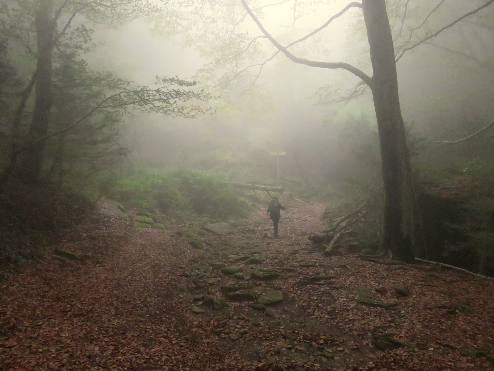 ELS CONTES DE QUART B by Material per al treball a l