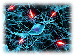 THE SOIL AND THE WATER: a scientific activity in 3^ class by mostardini francesca - Illustrated by Francesca Mostradini - Ourboox.com