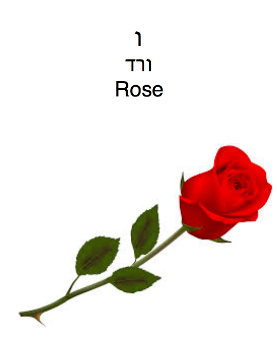 Milon-DavidYuffa by David Yuffa - Illustrated by שמי דוד. אני גר בטורונטו. אני לומד בבית ספר שם צ’את. אני אוהב קורא וכותב בעברית. אני מדבר אנגלית וקצת עברית. אני כותב זה מילון! - Ourboox.com