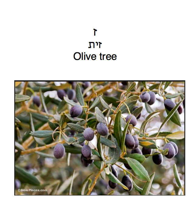 Milon-DavidYuffa by David Yuffa - Illustrated by שמי דוד. אני גר בטורונטו. אני לומד בבית ספר שם צ’את. אני אוהב קורא וכותב בעברית. אני מדבר אנגלית וקצת עברית. אני כותב זה מילון! - Ourboox.com