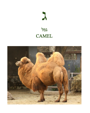 Milon-BenPike by Ben Pike - Ourboox.com