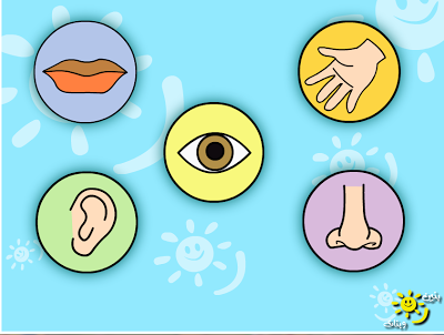 الحواس الخمس by aisha mzareeb - Ourboox.com